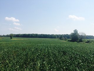 Property photo 1 - REAL ESTATE AUCTION - 56.7+/- ACRES OFFERED IN 3 TRACTS IN STEUBEN COUNTY